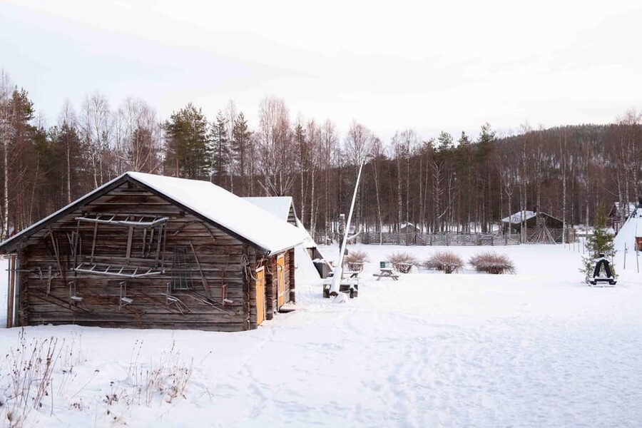 Levi: Reindeer Farm E-Fatbike Safari - The safari ride itself: scenic fells, slow gliding, and guided pacing