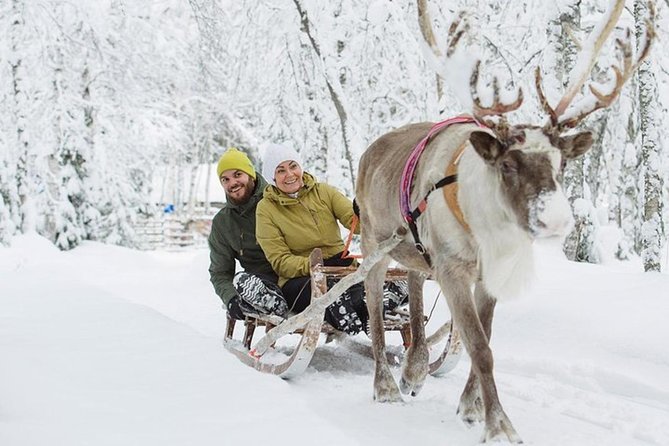 Levi Reindeer Safari - Long or Quick - with Sledge Ride - Weather and snow rules: when the sled ride may not happen