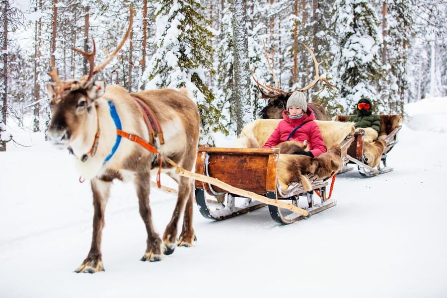 Levi: Reindeer Sleigh Ride Tour in Snowy Forest - The Polar Lights Tours start: safety briefing and guided setup