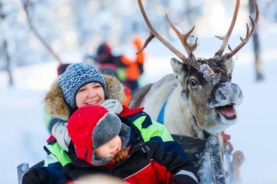Levi: Reindeer Sleigh Ride Tour in Snowy Forest - The 10 minute photo stop: don’t treat it like a bonus, treat it like a mission