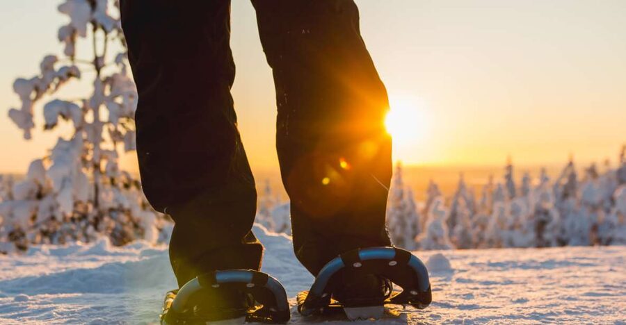Levi: Scenic Levi Snowshoe Trip - What Makes This Tour Worth Your Time