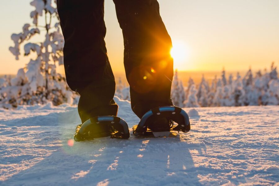 Levi: Scenic Levi Snowshoe Trip - Key Highlights You Should Actually Care About