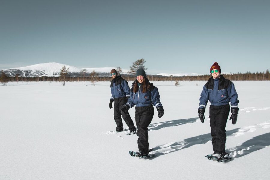 Levi: Scenic Levi Snowshoe Trip - Price and Value: Is $104 for 2 Hours a Good Deal?