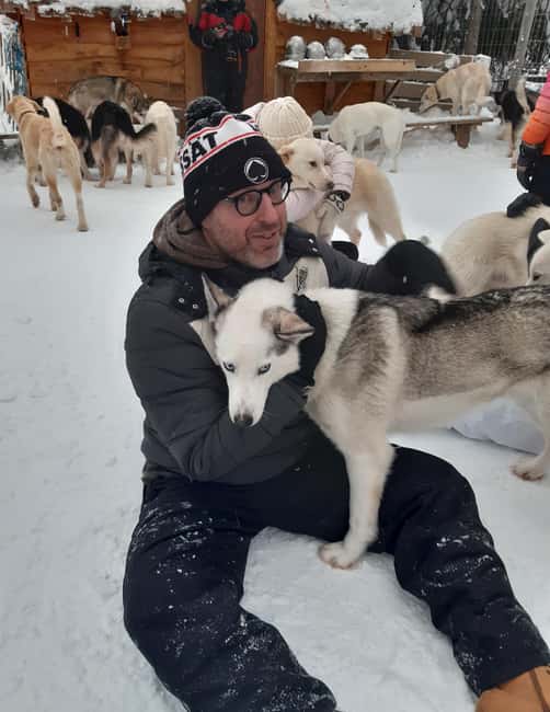 Levi: Self-Drive 2 KM Husky Sledding Experience - The 2 km self-drive safari, short ride with real dog energy