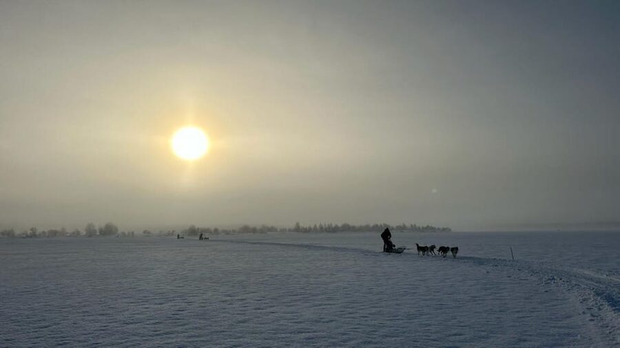 Levi: Self-Drive 5 KM Husky Sledding Experience - Your 5 km self-drive: what it means to be the team leader