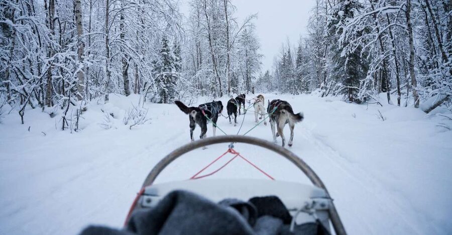 Levi: Self-Drive Guided Husky Tour - How the 1 to 2 hour itinerary actually feels