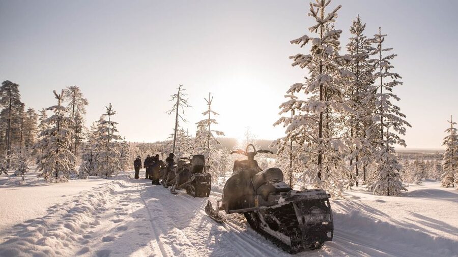 Levi: Snowmobile Safari to the Levi Nature - Should You Book This Snowmobile Safari in Levi?