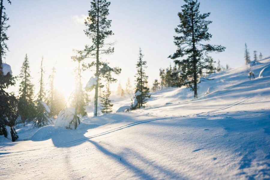 Levi: Snowshoe Adventure in the Wilderness - FAQ