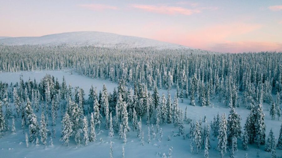 Levi: Snowshoe Adventure in the Wilderness - Photo guidance that turns snow scenes into real shots