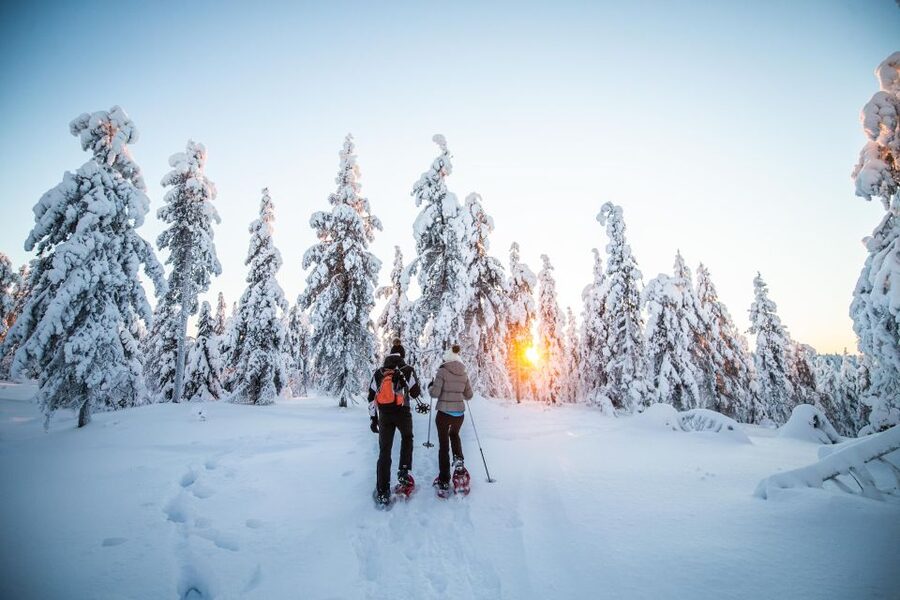 Levi: Snowshoe Adventure in the Wilderness - Price and value: what $105 really covers