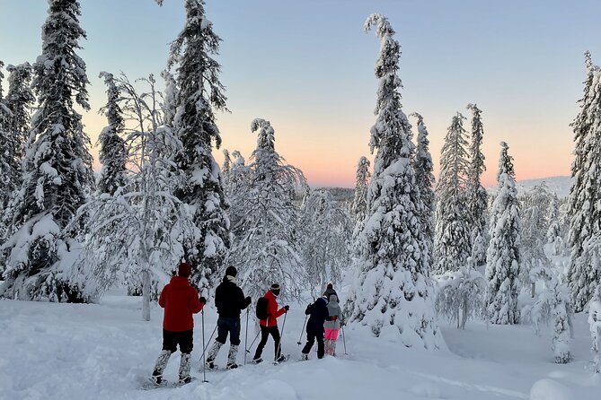 Levi: Snowshoeing adventure in the National Park - Key highlights you will feel right away