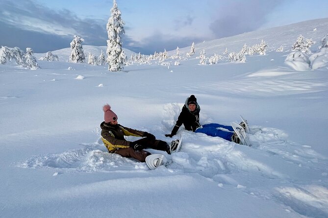 Levi: Snowshoeing adventure in the National Park - From Levi to Pallas-Yllästunturi, the winter drive that sets the mood