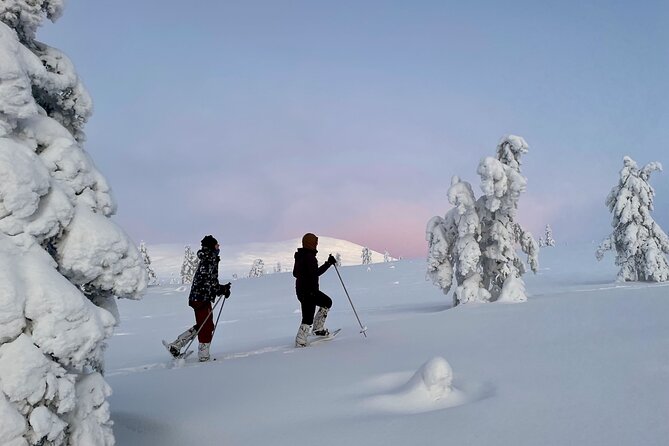 Levi: Snowshoeing adventure in the National Park - Timing that actually works: a 5.5-hour day with a reason for every block