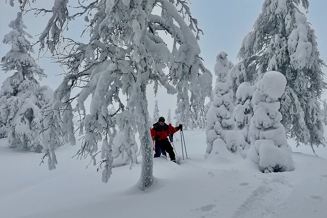 Levi: Snowshoeing adventure in the National Park - Guides and small group comfort: pace, patience, and questions