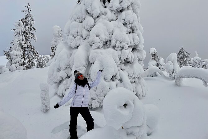 Levi: Snowshoeing adventure in the National Park - Who should book this Levi snowshoeing day