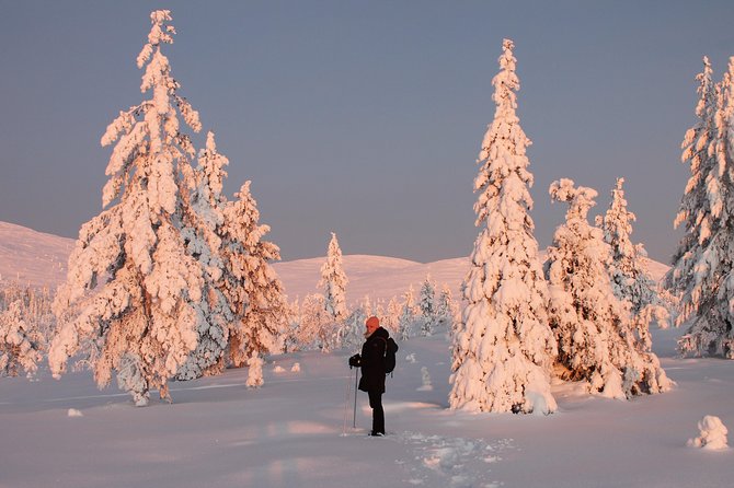 Levi: Snowshoeing adventure in the National Park - The hut pause: grilled sausages, fire-warmed downtime, and coffee