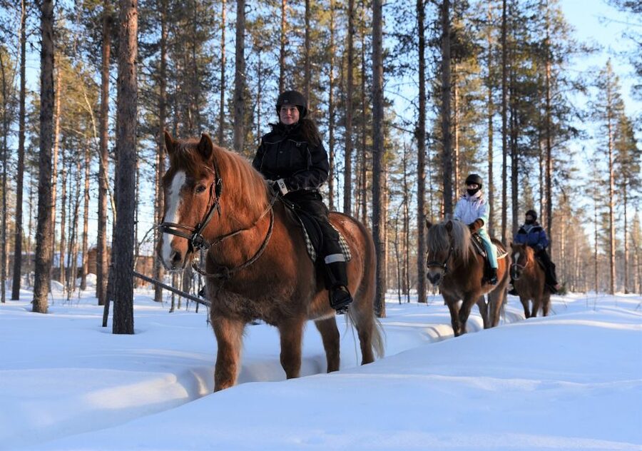Levi: Snowy Forest Ride and Polar Lights Tours - Key things that make this ride worth your time