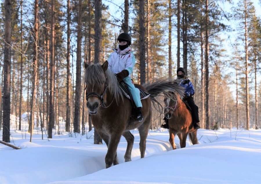 Levi: Snowy Forest Ride and Polar Lights Tours - Levi’s snowy forest ride: the simple plan that works
