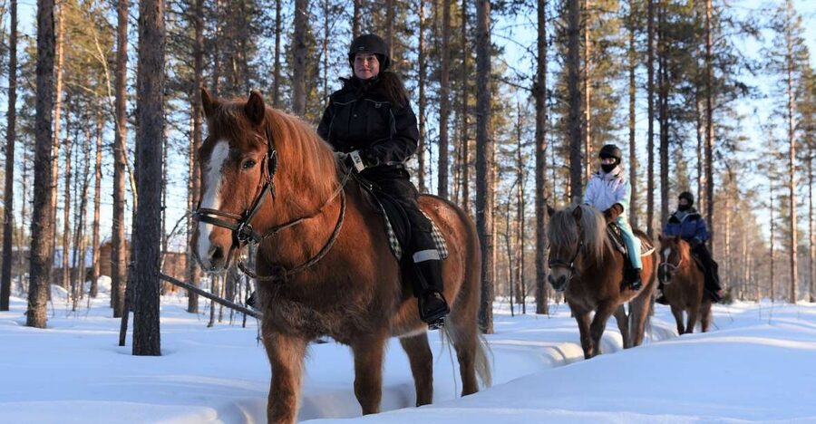 Levi: Snowy Forest Ride and Polar Lights Tours - The safety briefing: where first-timers get confidence fast