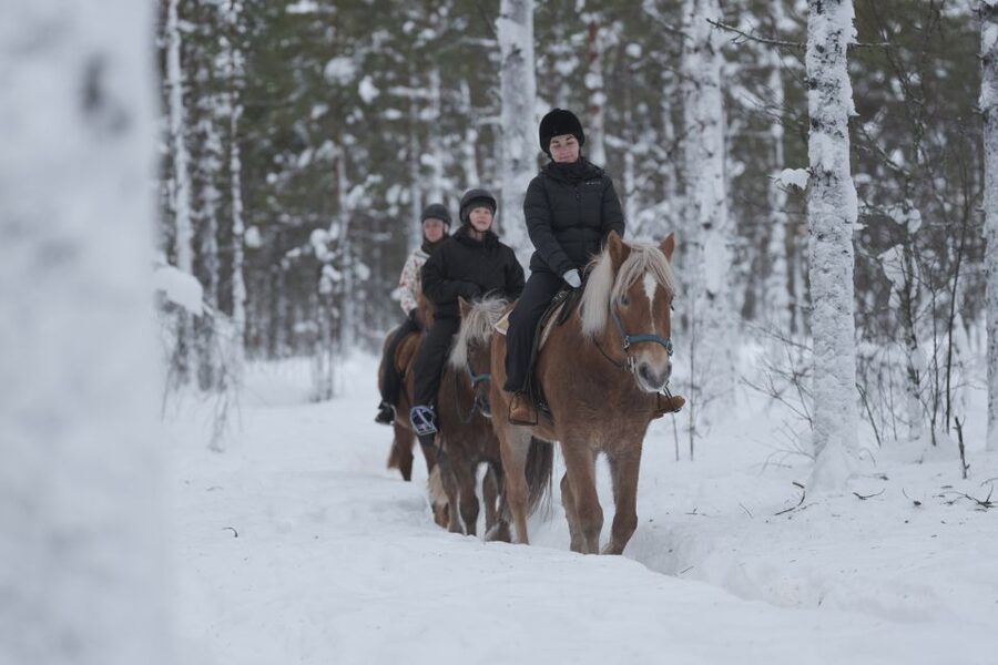 Levi: Snowy Forest Ride and Polar Lights Tours - Local snacks by the fire: hot juice and local cookie