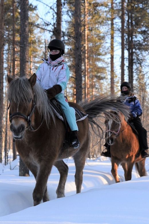 Levi: Snowy Forest Ride and Polar Lights Tours - Where the guides come in: the difference between safe and great