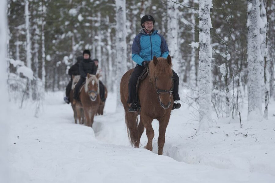 Levi: Snowy Forest Ride and Polar Lights Tours - Getting to Hissitie 11 and finding your Polar Lights bus