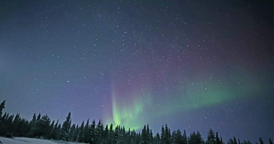 Levi: Twilight Snowmobile Safari & Stargazing Experience - Stargazing with a telescope and Northern Lights: how it fits the tour