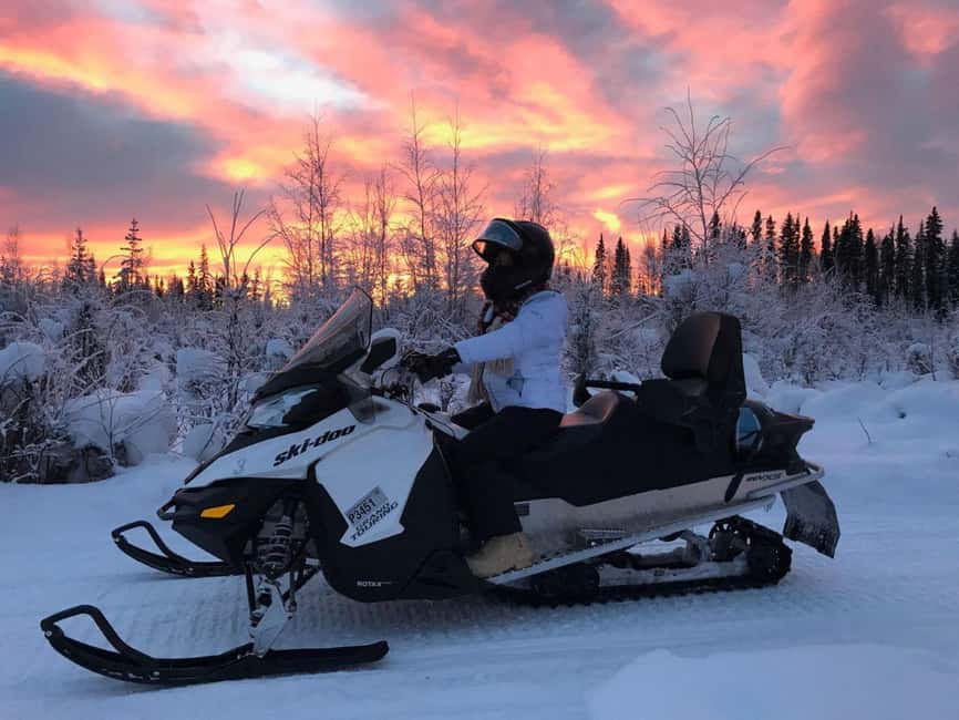 Levi: Twilight Snowmobile Safari & Stargazing Experience - Price and value: is $135 fair for this 2-hour experience?
