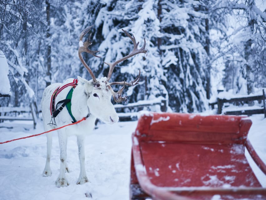 Levi: Winter Highlights Family Day - Getting there in Levi: Pickup, meeting points, and winter timing