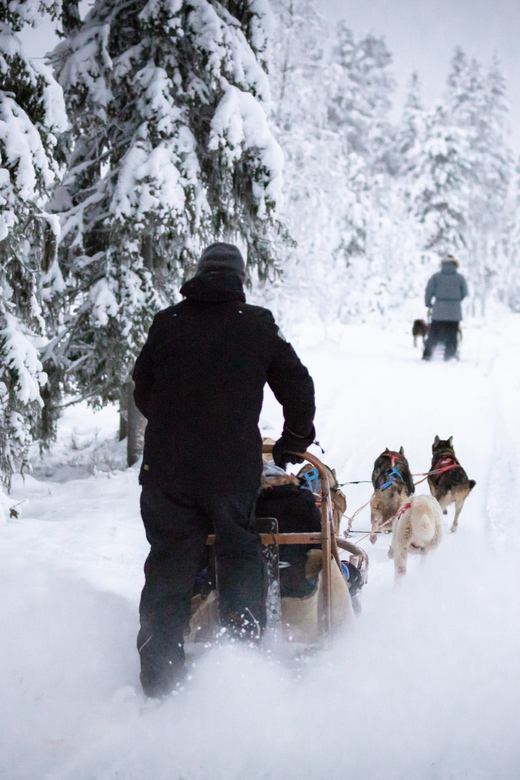 Levi: Winter Highlights Family Day - Traditional salmon soup lunch and hot juice: Fuel that matters