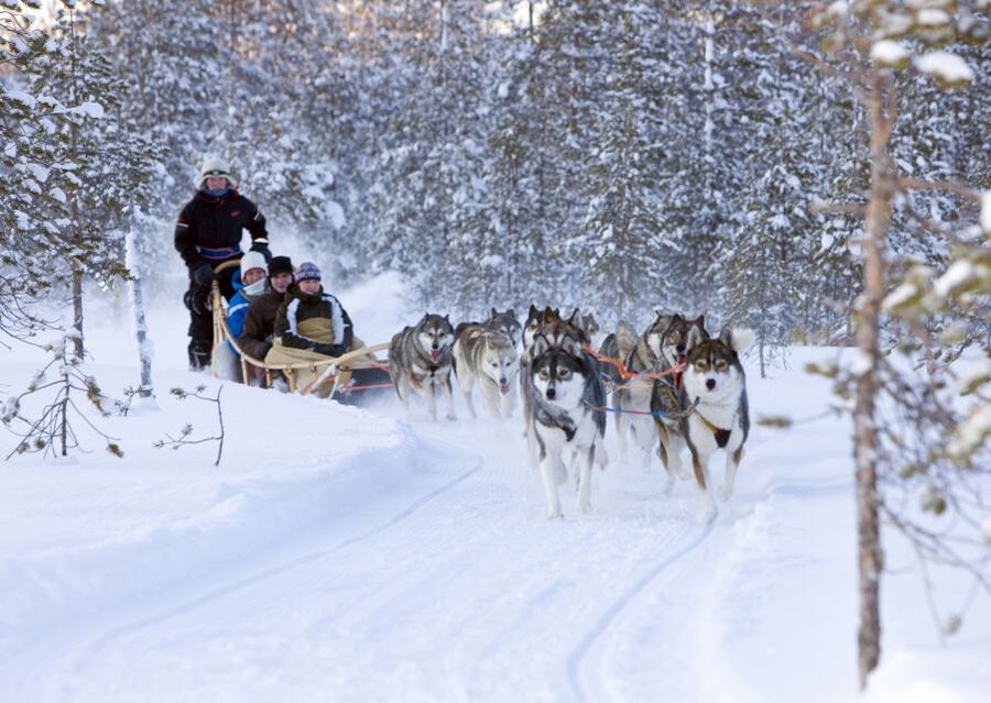 Levi: Winter Highlights Tour with Snowmobiling - From Levi pickup to winter clothes you can actually move in