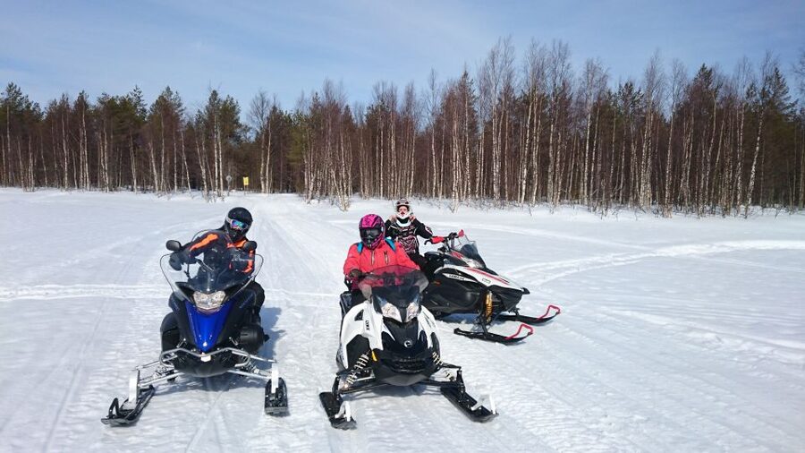 Levi: Winter Highlights Tour with Snowmobiling - Reindeer farm stop with a 500-meter sleigh ride that feels calm