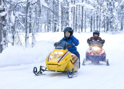 Winter Highlights Tour with Snowmobiling
