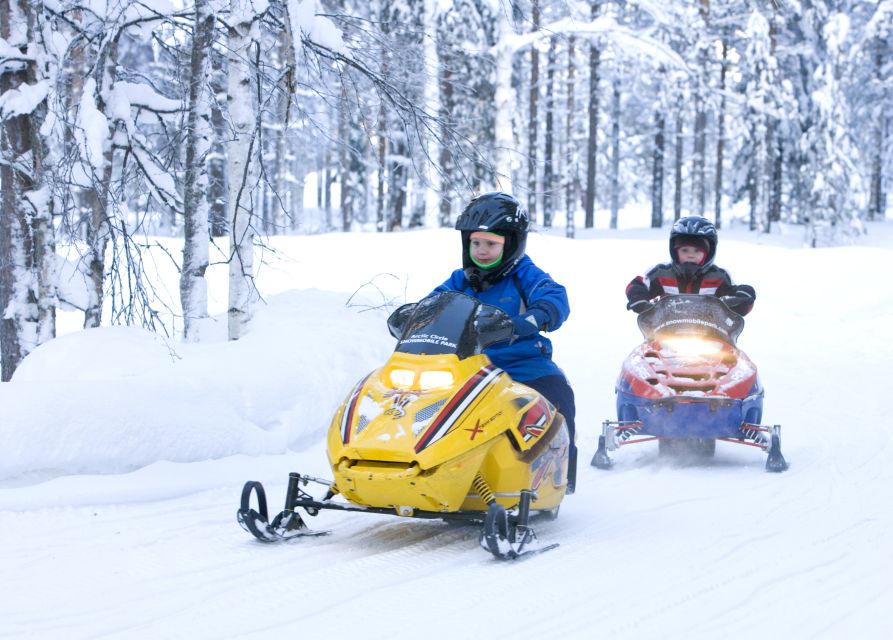 Levi: Winter Highlights Tour with Snowmobiling - Husky farm time, then a real 500-meter husky sleigh ride