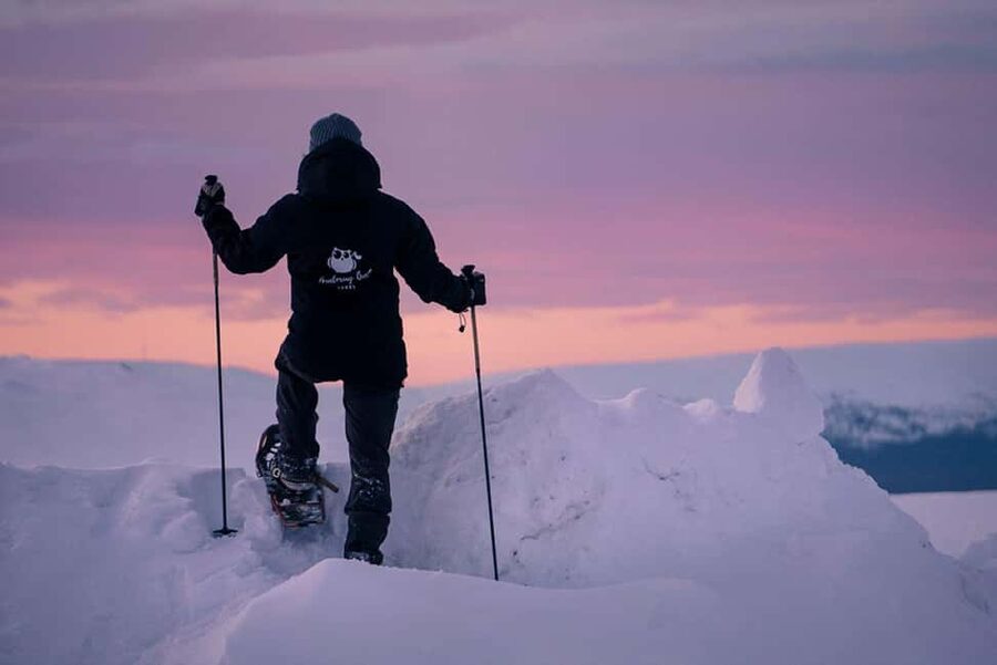 LEVI Winter Snowshoeing in the Wilderness (ALL INCLUDED) - Key highlights worth showing up early for