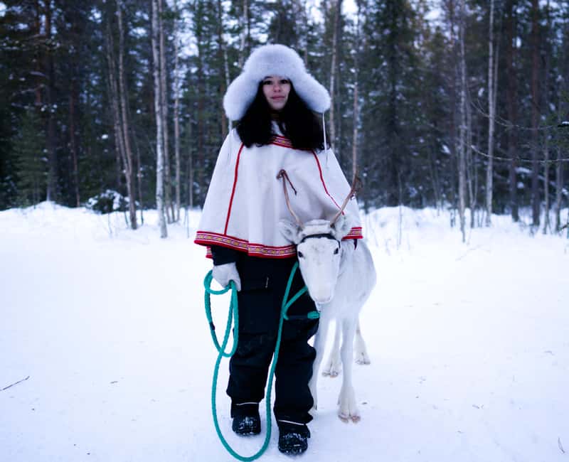 Levi: Winter Wilderness Husky & Reindeer Safari Combo Tour - The 0.6 km Reindeer Sleigh Ride: Quiet Lapland Fairytale