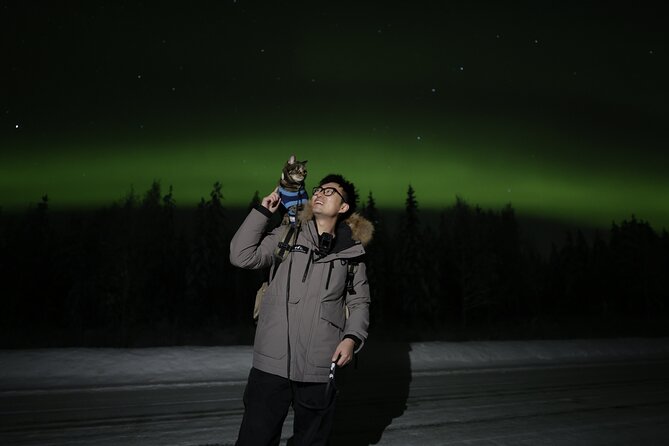 Magical Northern Lights Photography Experience - A short northern lights photo session in Rovaniemi at 7:00 pm