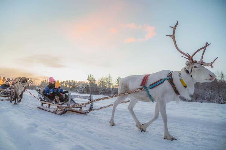 Magical Private Santa Visit, Reindeer Ride & Elf Workshops - Key reasons this private Santa visit works