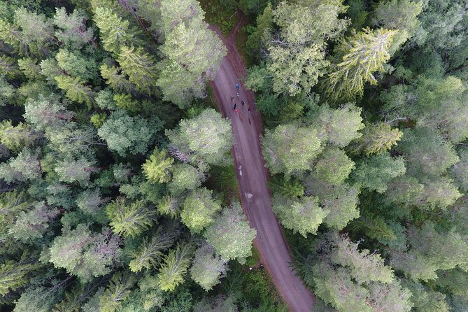Magical Taiga Forest Hike with Lunch and Transportation - Forest spotting with your guide: plants, mushrooms, and wildlife lessons