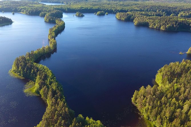 Magical Taiga Forest Hike with Lunch and Transportation - Small-group sustainability: why max 8 changes the day