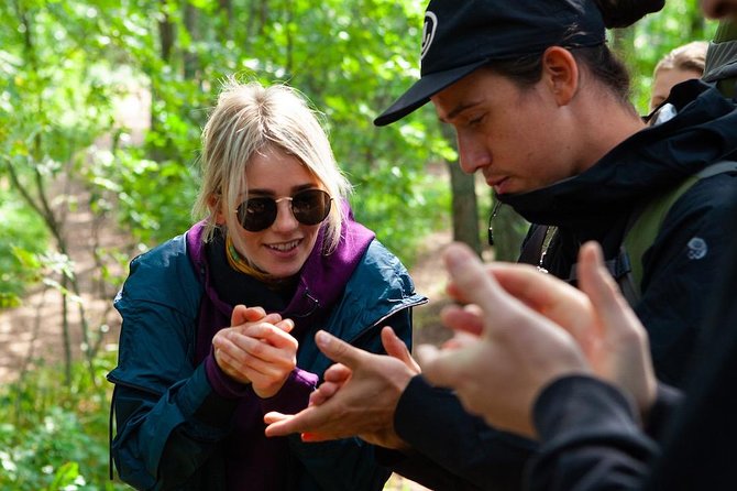 Magical Taiga Forest Hike with Lunch and Transportation - Inside Liesjärvi National Park: what the hike feels like