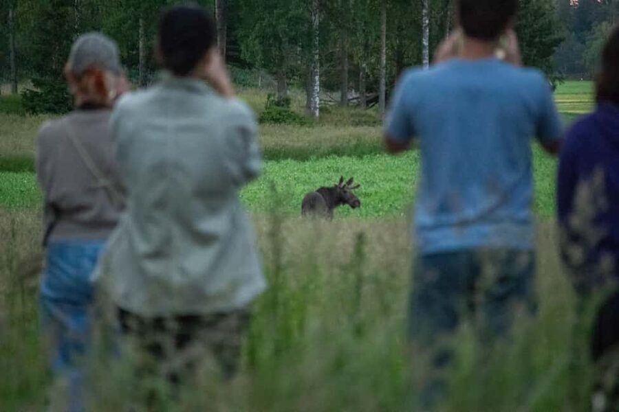 Moose safari with campfire dinner from Helsinki - The campfire dinner stop at Porkkalanniemi: Finnish comfort in the cold