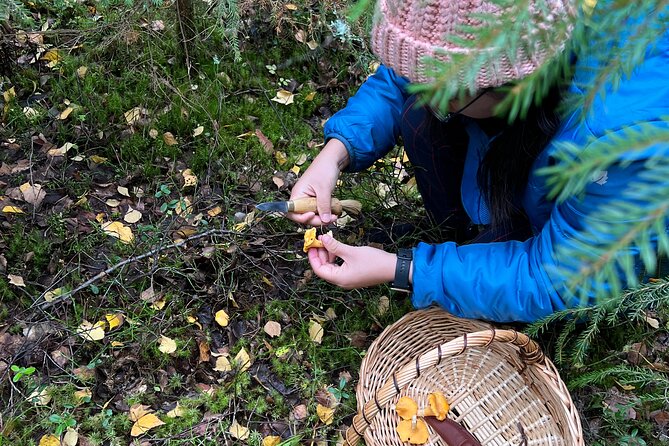 Mushroom Hunting in a National Park - The lakeside campfire lunch: where foraging turns into Finnish food