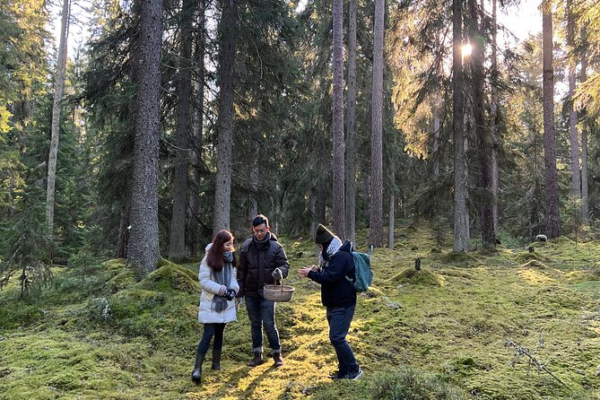 Mushroom Hunting in a National Park - Who this fits best, and who might feel out of place