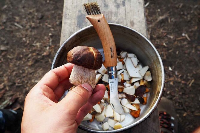 Mushroom Hunting in a National Park - The practical rhythm of your day, hour by hour