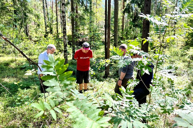 National Park Hike & Finnish Smoke Sauna Experience with Campfire Lunch - Smoke Sauna and Lake Cooling: The One-Of-a-Kind Part