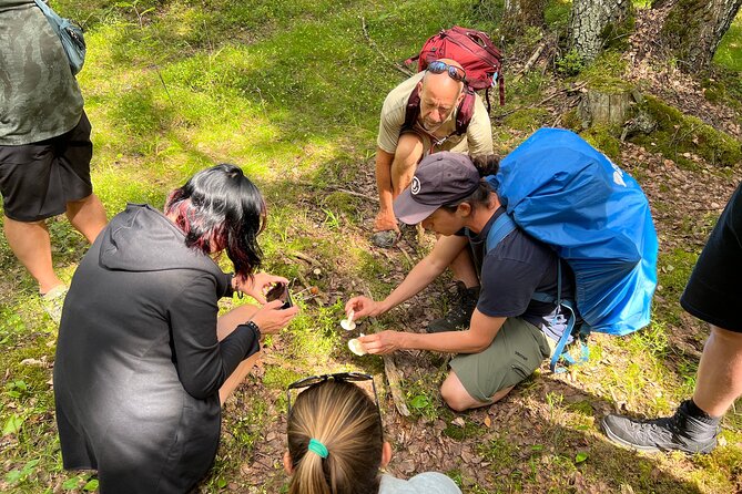 National Park Hike & Finnish Smoke Sauna Experience with Campfire Lunch - Price and Logistics: Why This Feels Like Value, Not Just a Tour