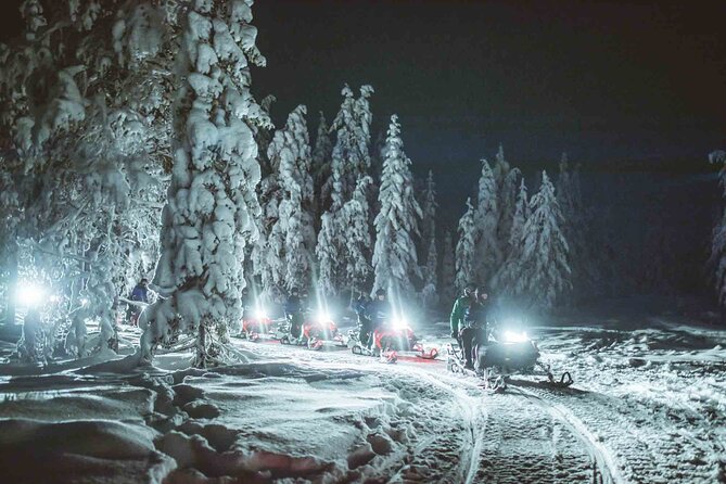 Night Snowmobile Safari, Rovaniemi - Northern Lights viewing: the best practices the tour supports