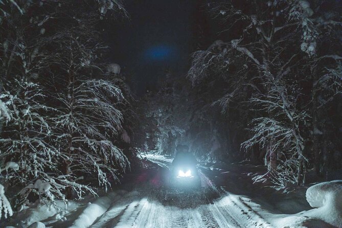 Night Snowmobile Safari, Rovaniemi - Price and value: is $174.42 worth it?