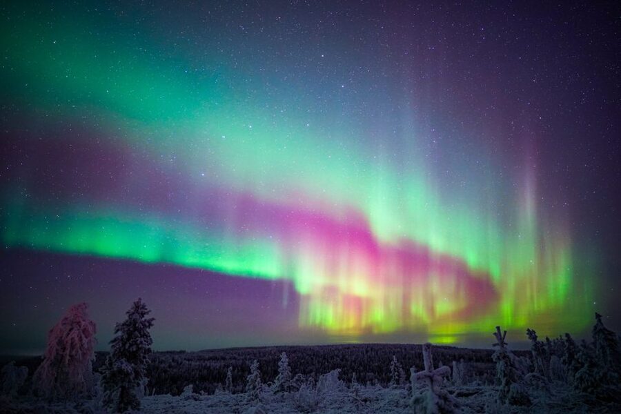 Night Snowshoeing Adventure under the Northern Lights - Who This Tour Suits Best (And Who Should Rethink It)